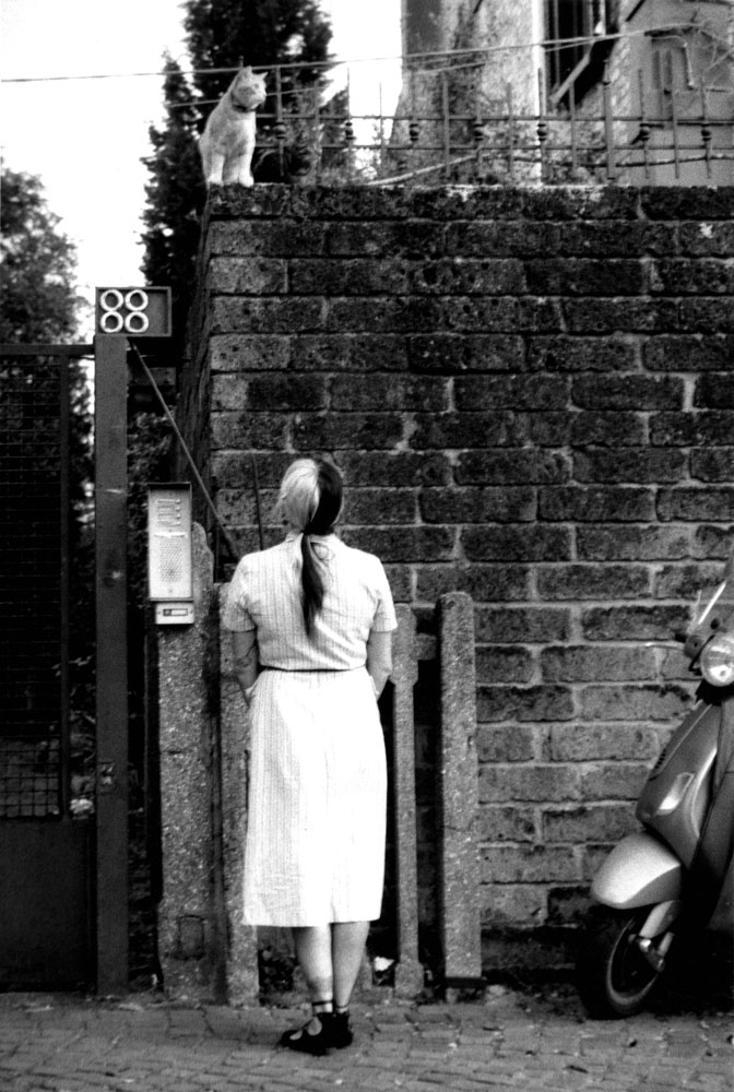 Una donna con capelli metà neri e metà bianchi osserva due gatti in cima an un muro di cinta