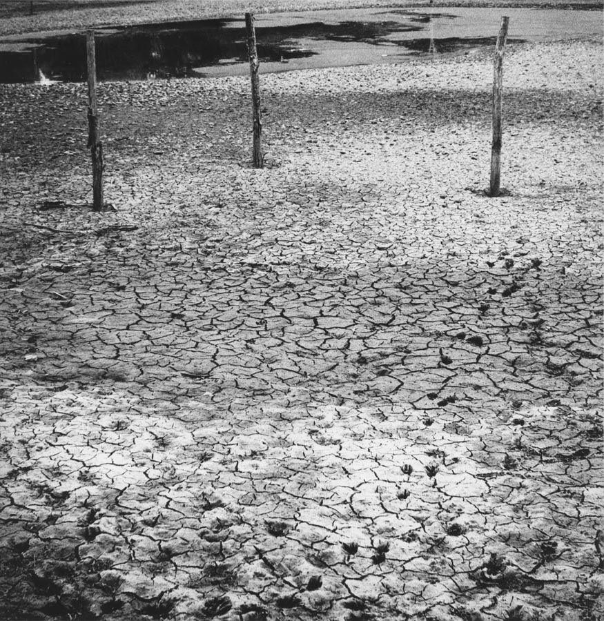 Il fondo arido di un lago con tre paletti conficcati